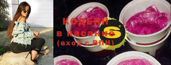 гашик Алзамай