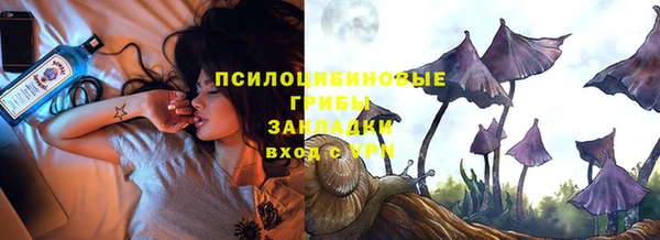 гашик Алзамай